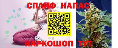 молекула духа Партизанск