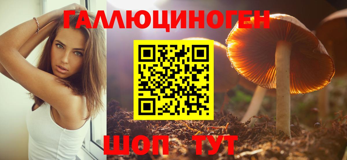 Псилоцибиновые грибы GOLDEN TEACHER  Галлюциногенные грибы Psilocybine cubensis  Ногинск  Вход с VPN 