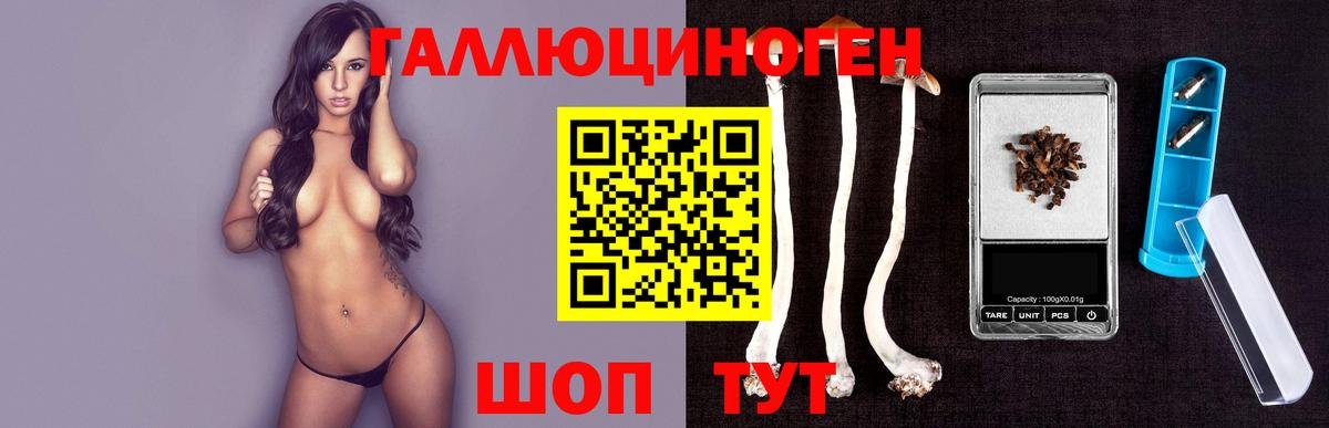 Псилоцибиновые грибы мухоморы Ногинск